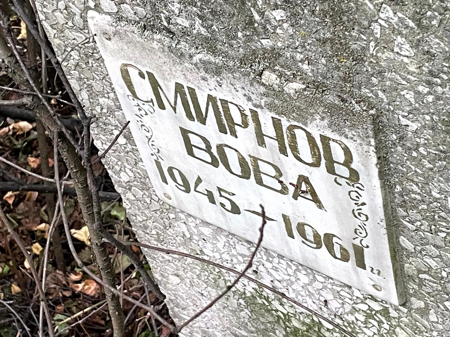 Смирнов Смирнов