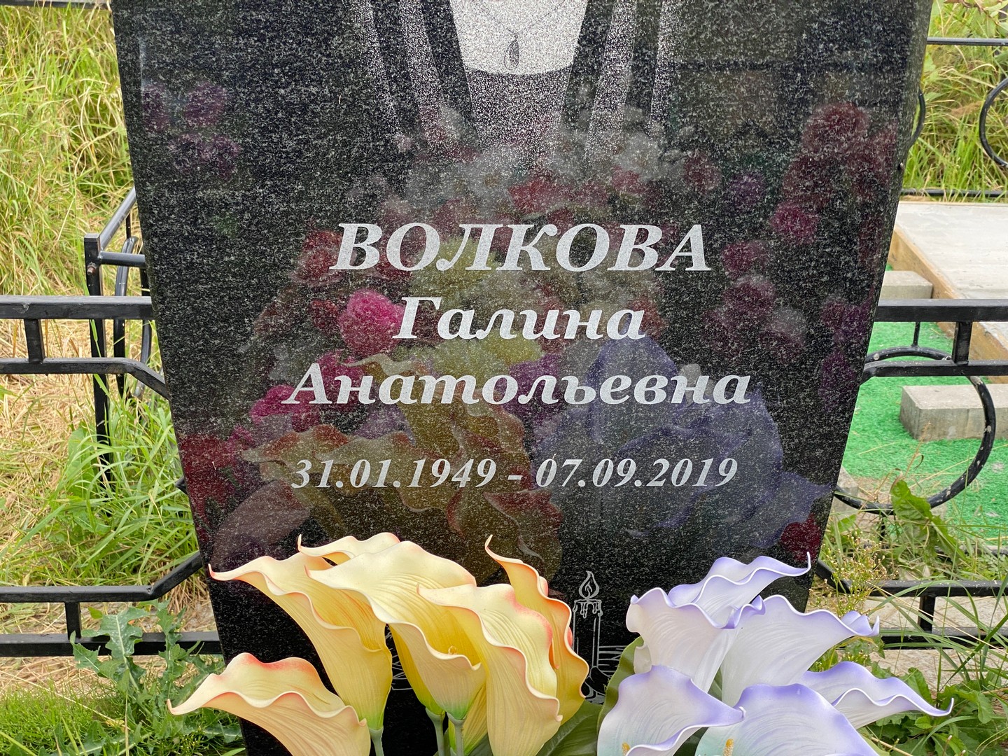 Волкова