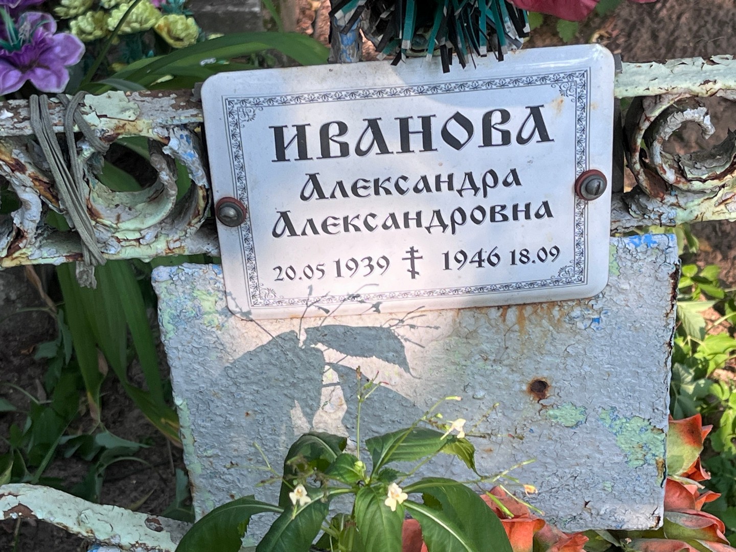 Иванова Александра Александровна