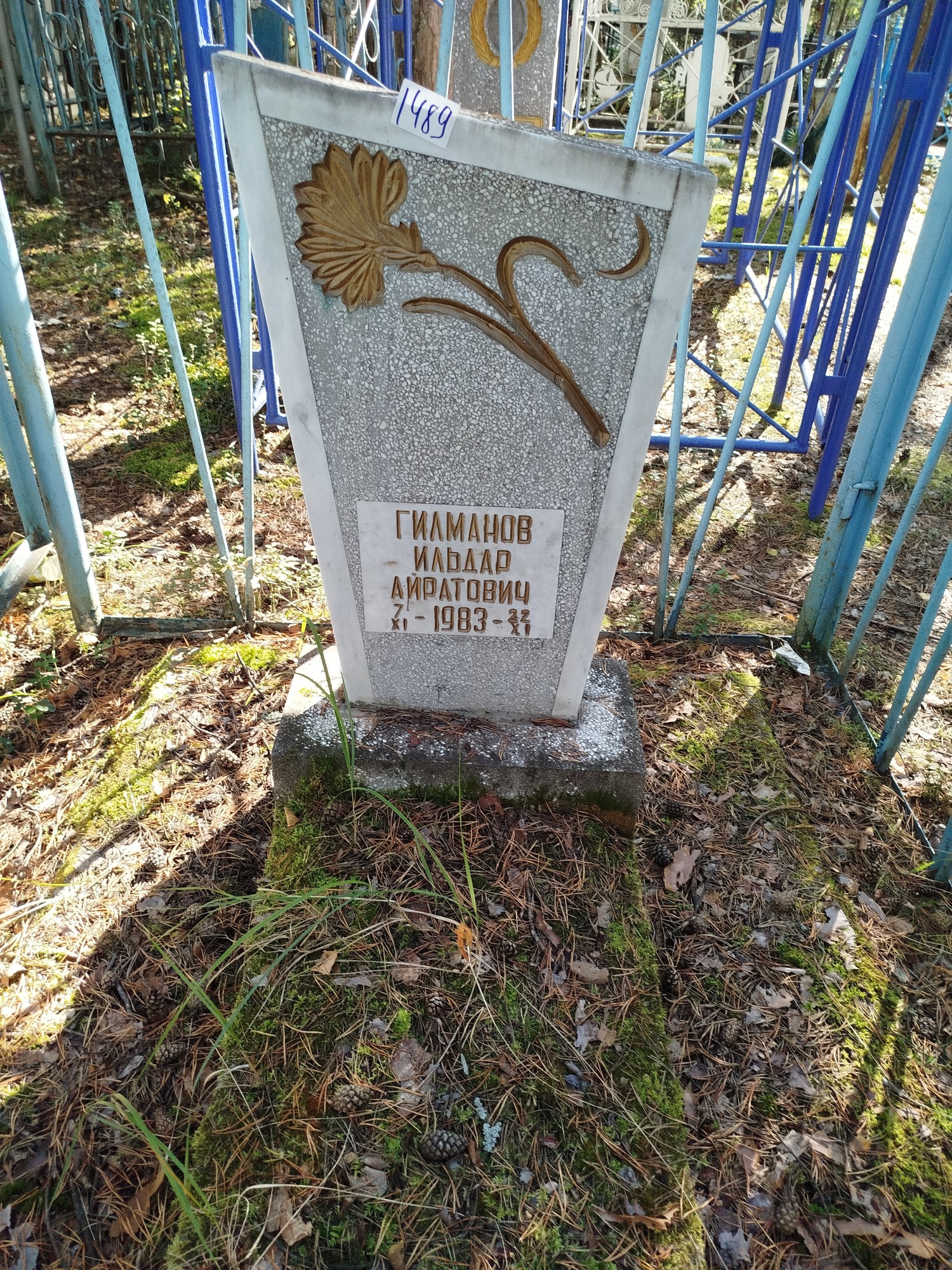 Гилманов Ильдар Айратович