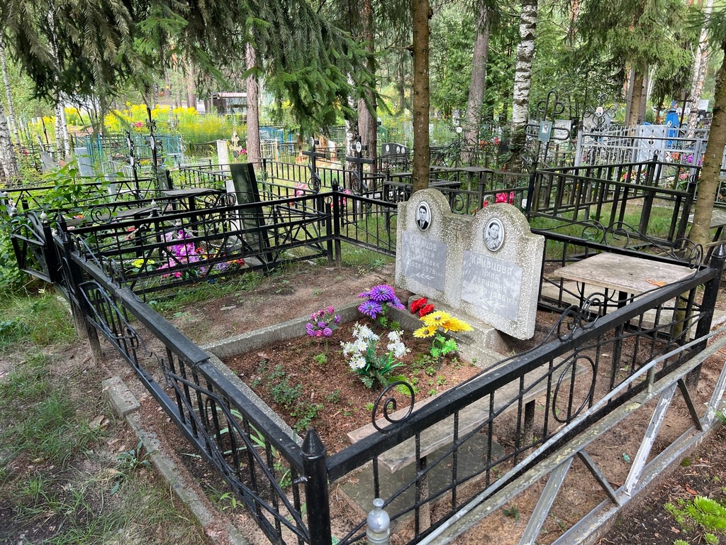 Кривцов Алексей Степанович