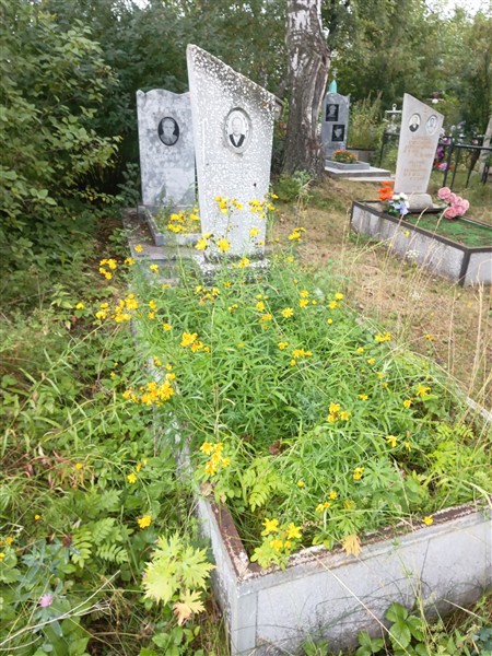Севрюгина Валентина Семеновна
