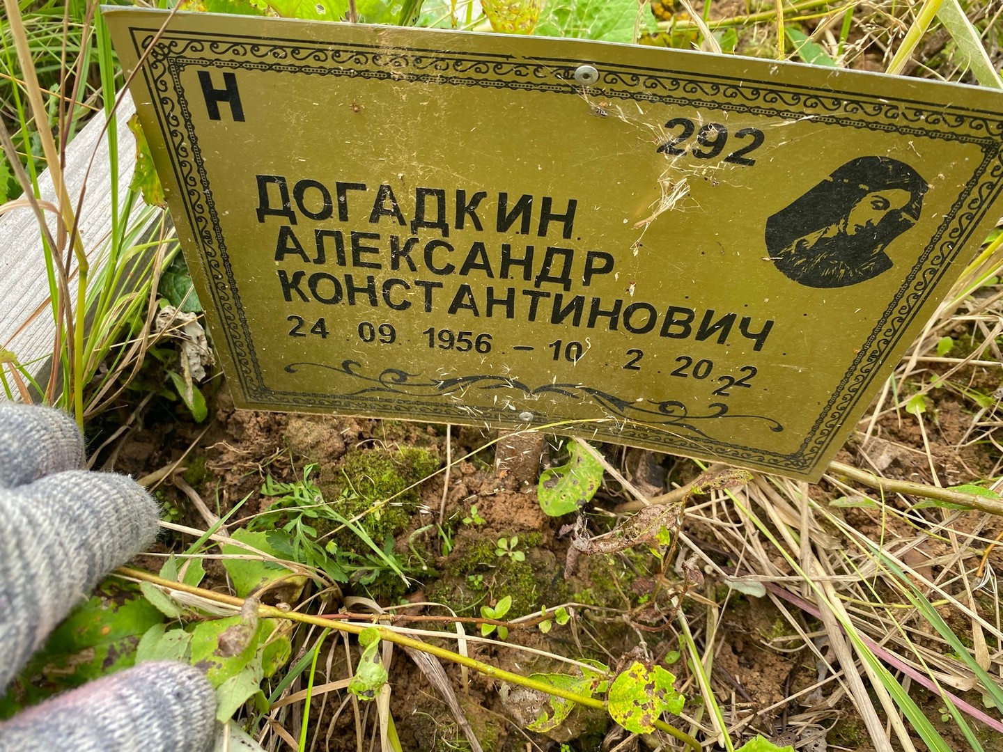 Догадкин