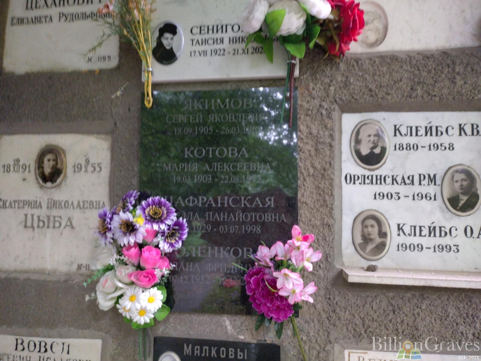Голенкова Светлана Фридриховна