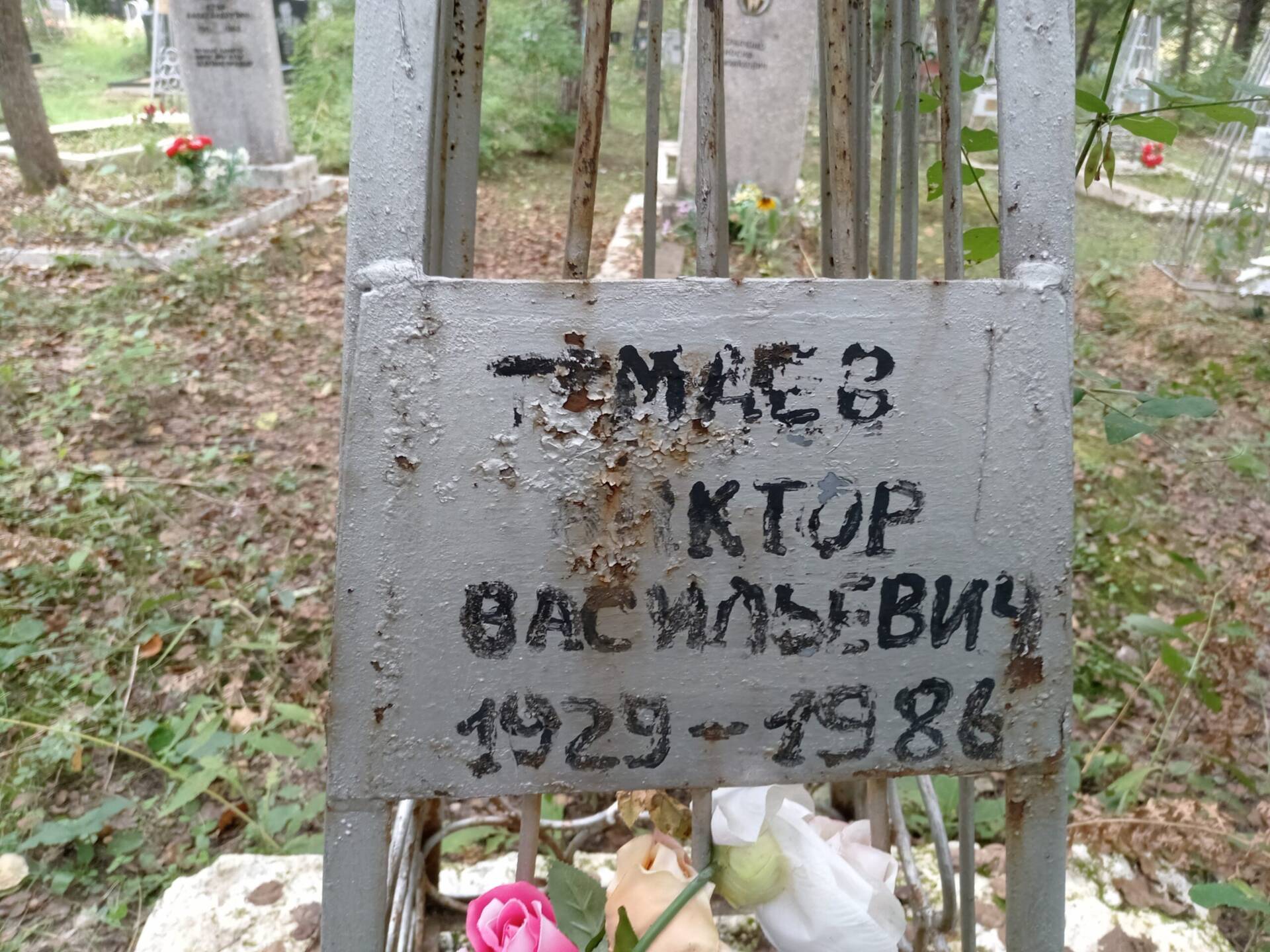 Темаев Виктор Васильевич