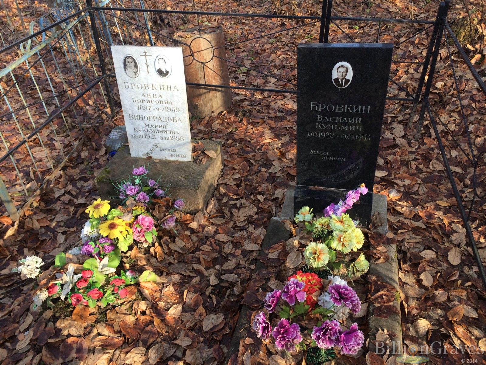 Бровкин Василий Кузьмич