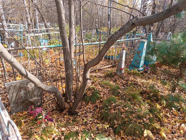 Кадочников Алексей Яковлевич