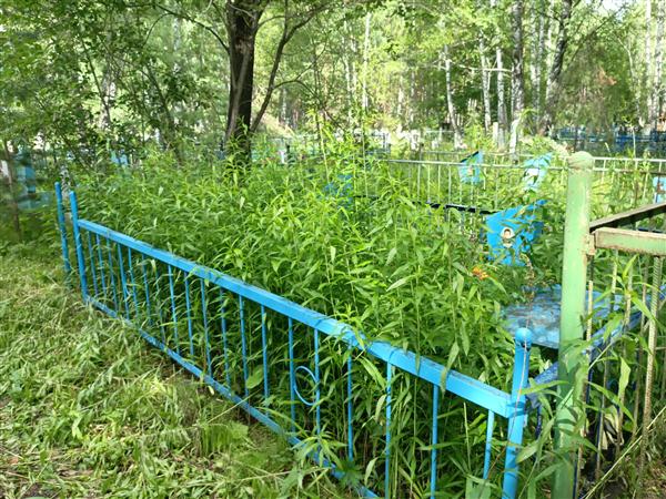 Бурашникова Надежда Афанасьевна