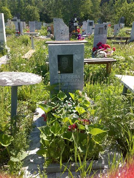 Комарова Полина Николаевна
