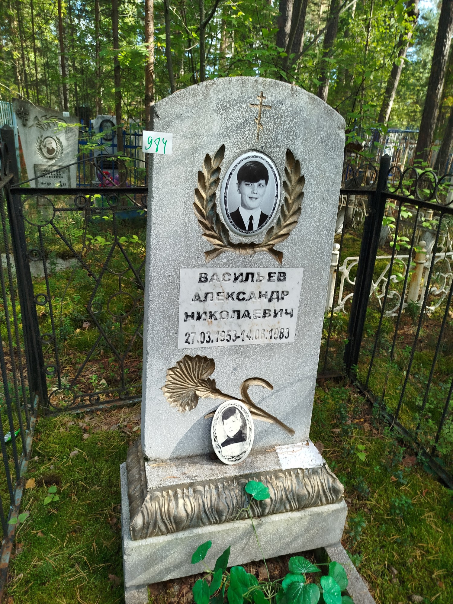 Васильев Александр Николаевич