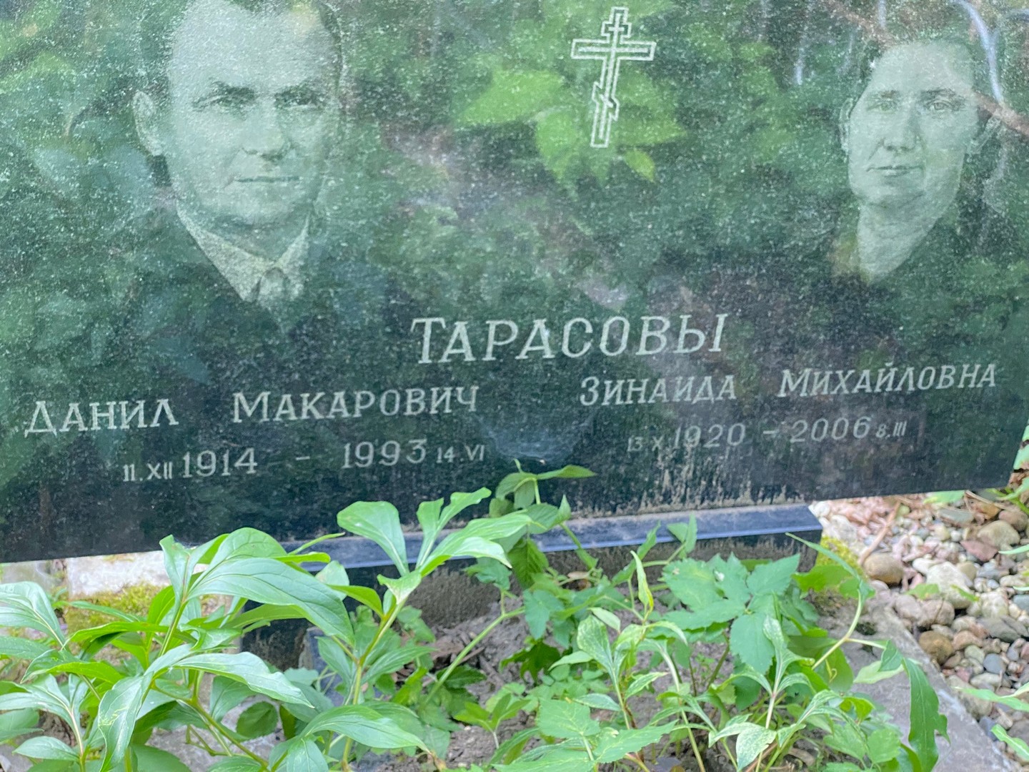 Тарасова