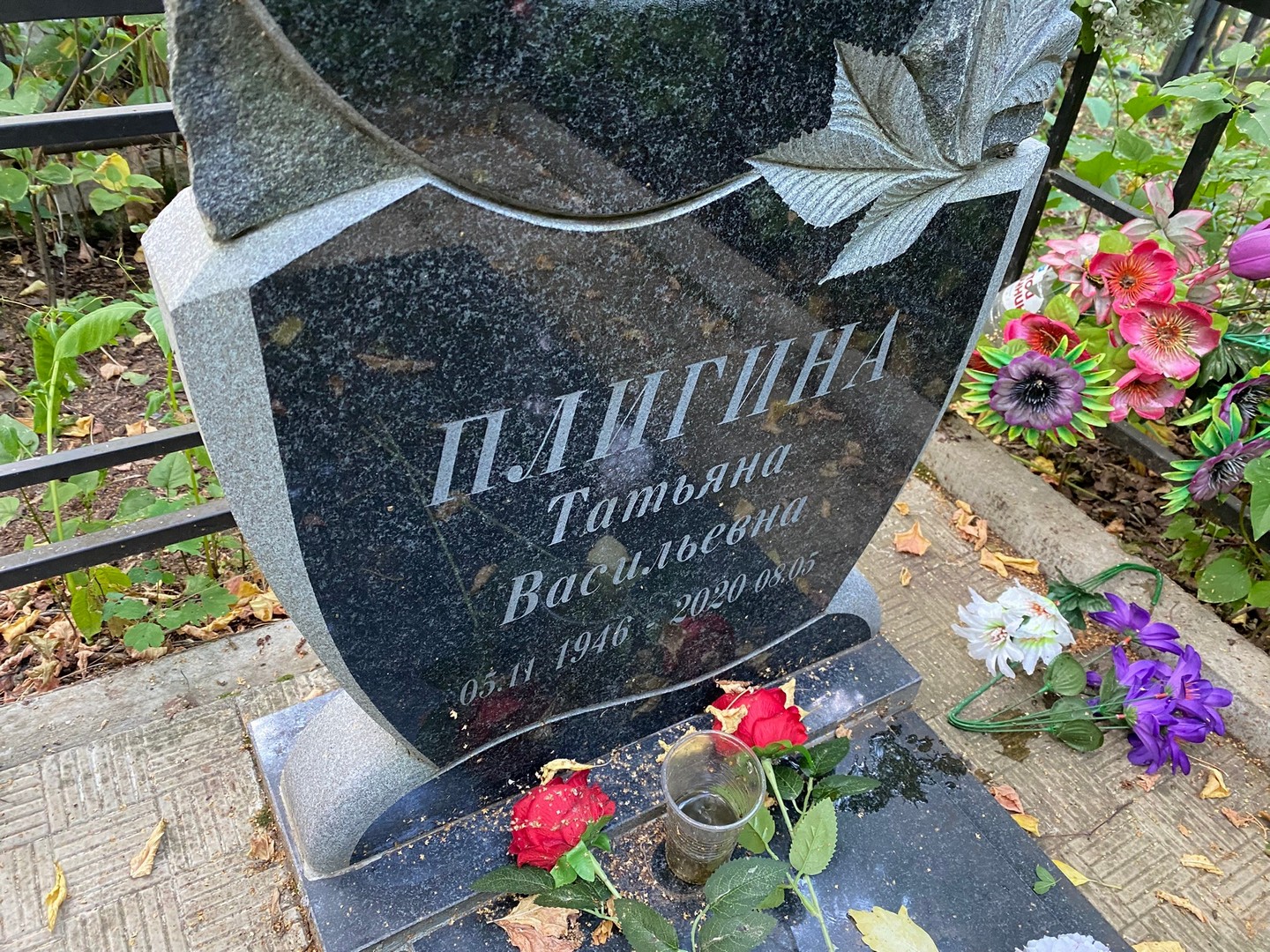 Плигина