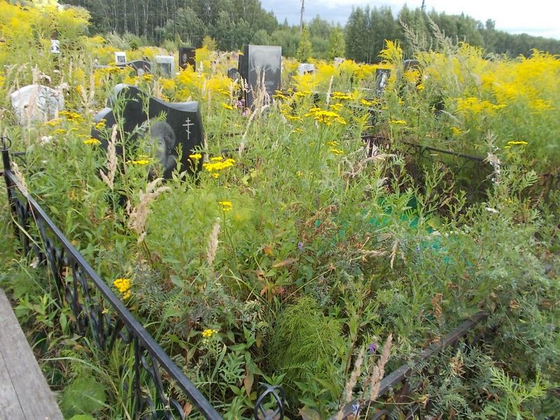 Балаян Раиса Петровна