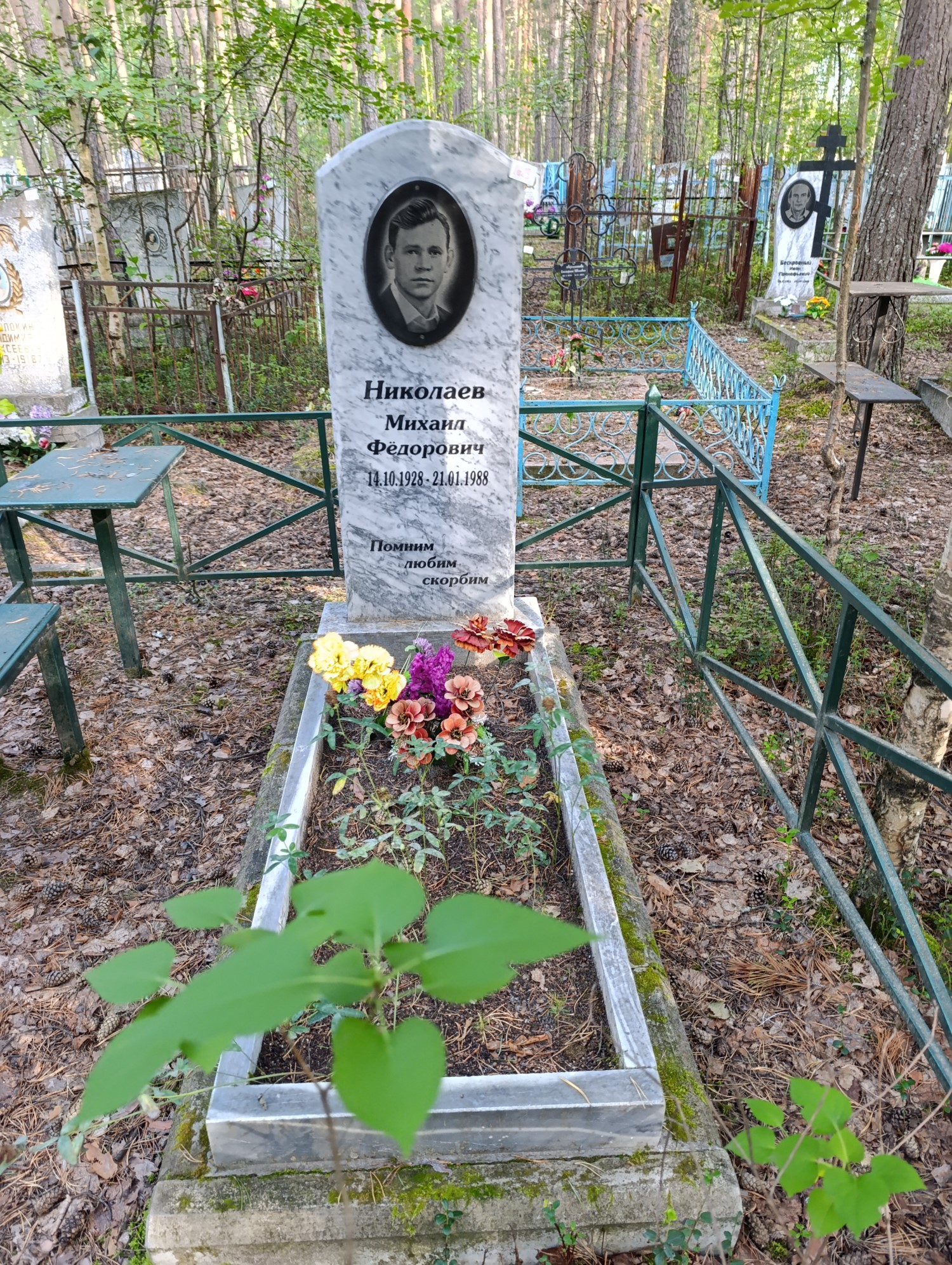 Николаев Михаил Федорович