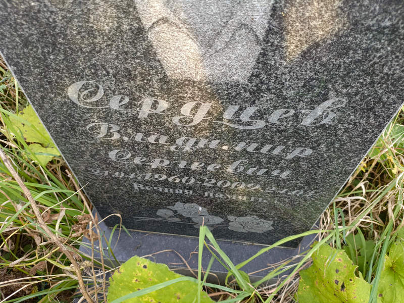 Сердцев