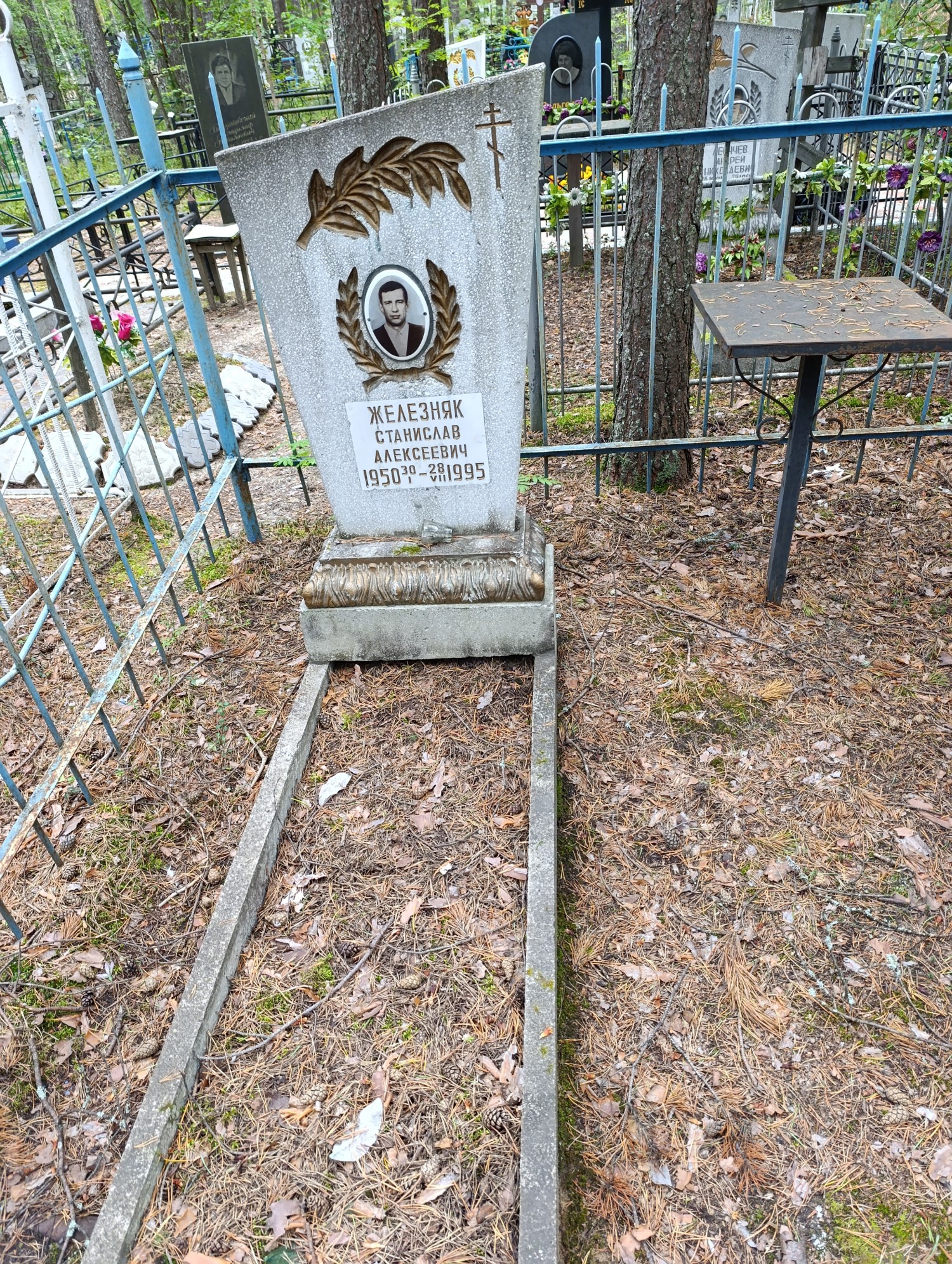 Железняк Станислав Алексеевич