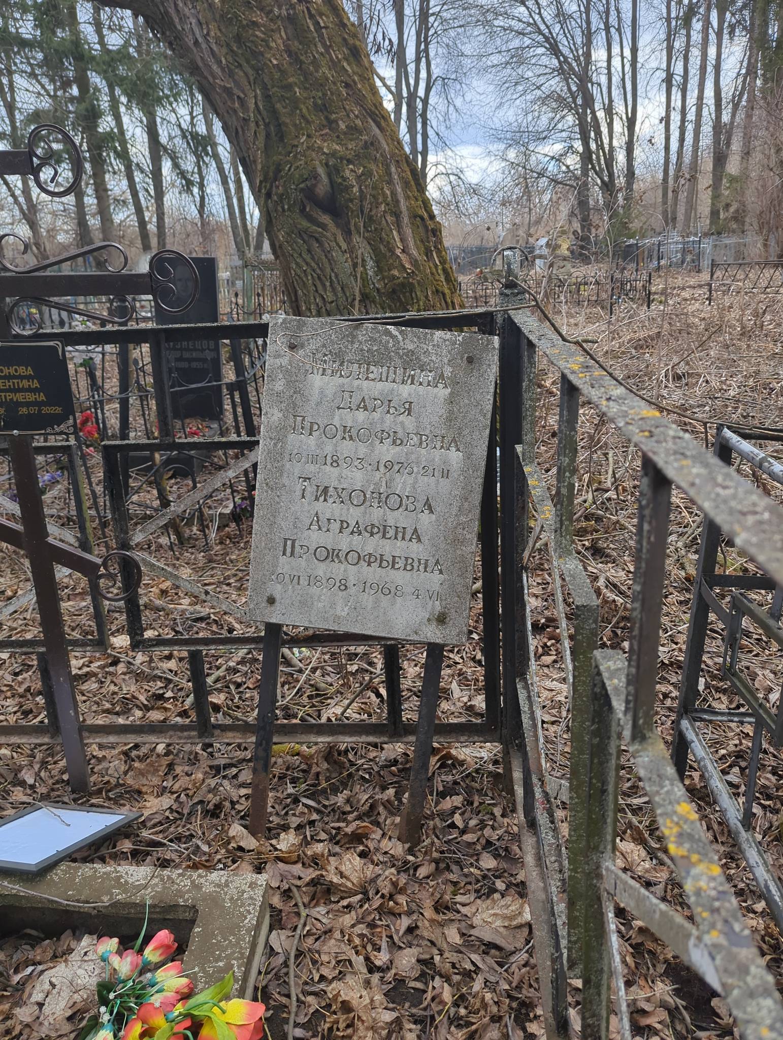 Милешина Дарья Прокофьевна
