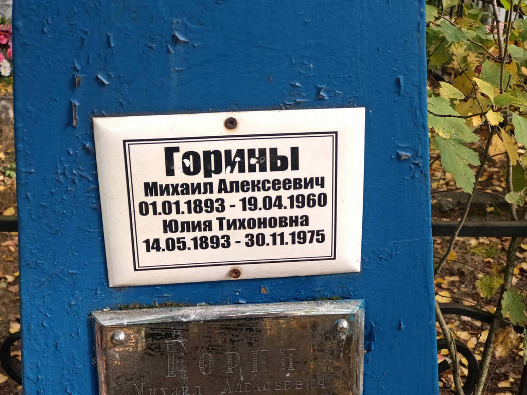 Горина Юлия Тихоновна