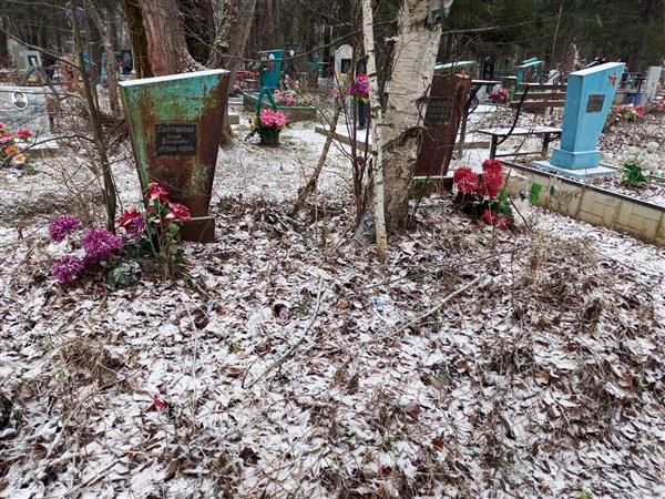 Салтыков Александр Ник.