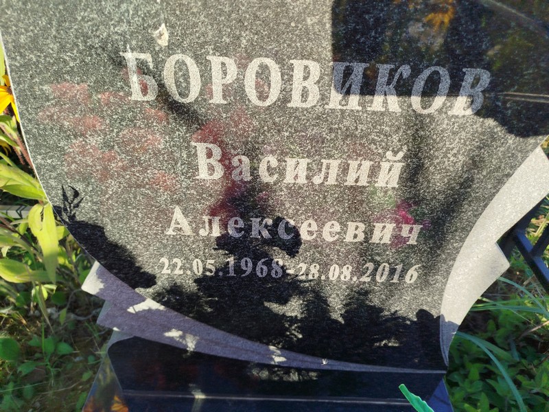 Боровиков