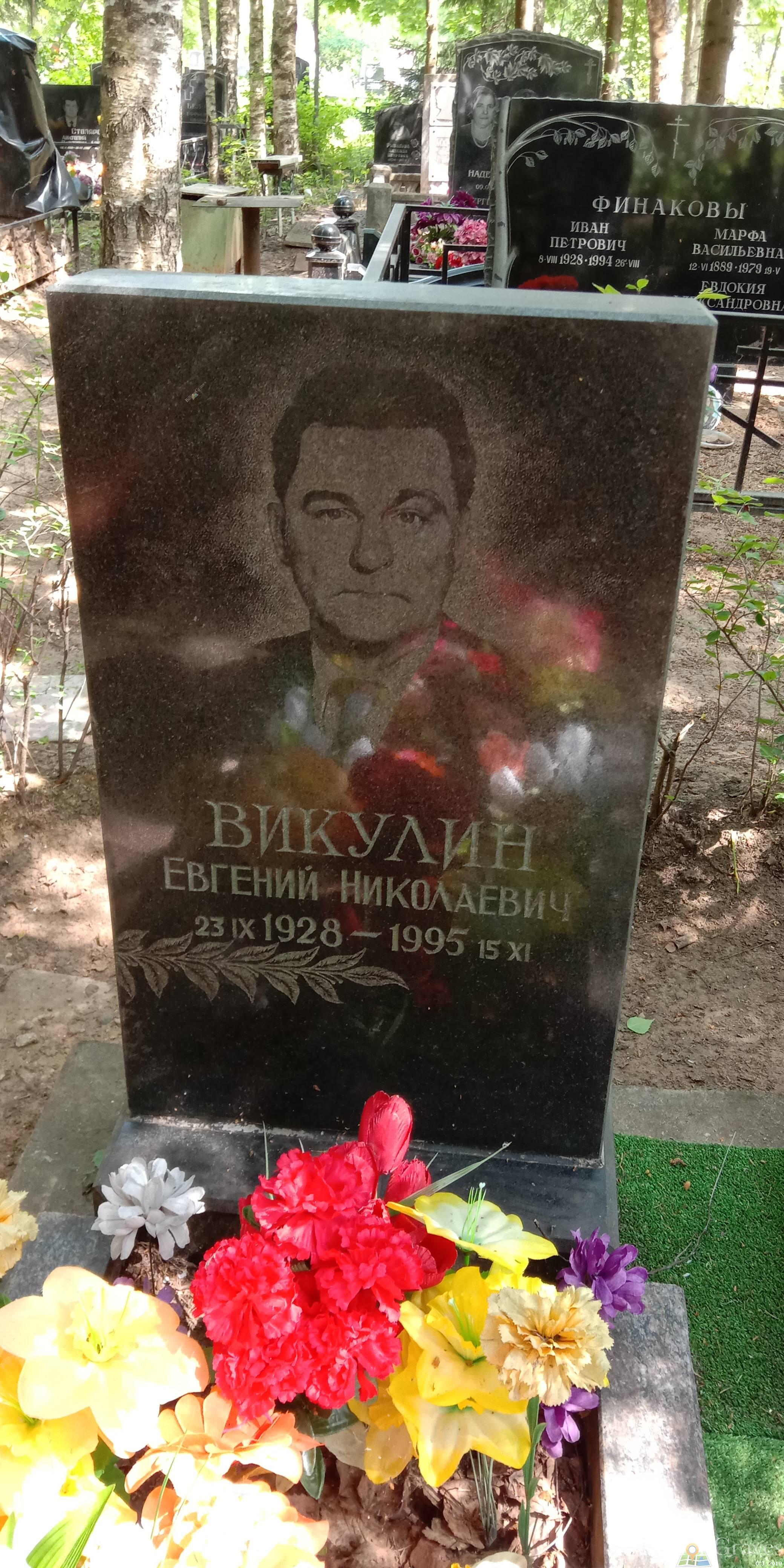 Викулин Евгений Николаевич