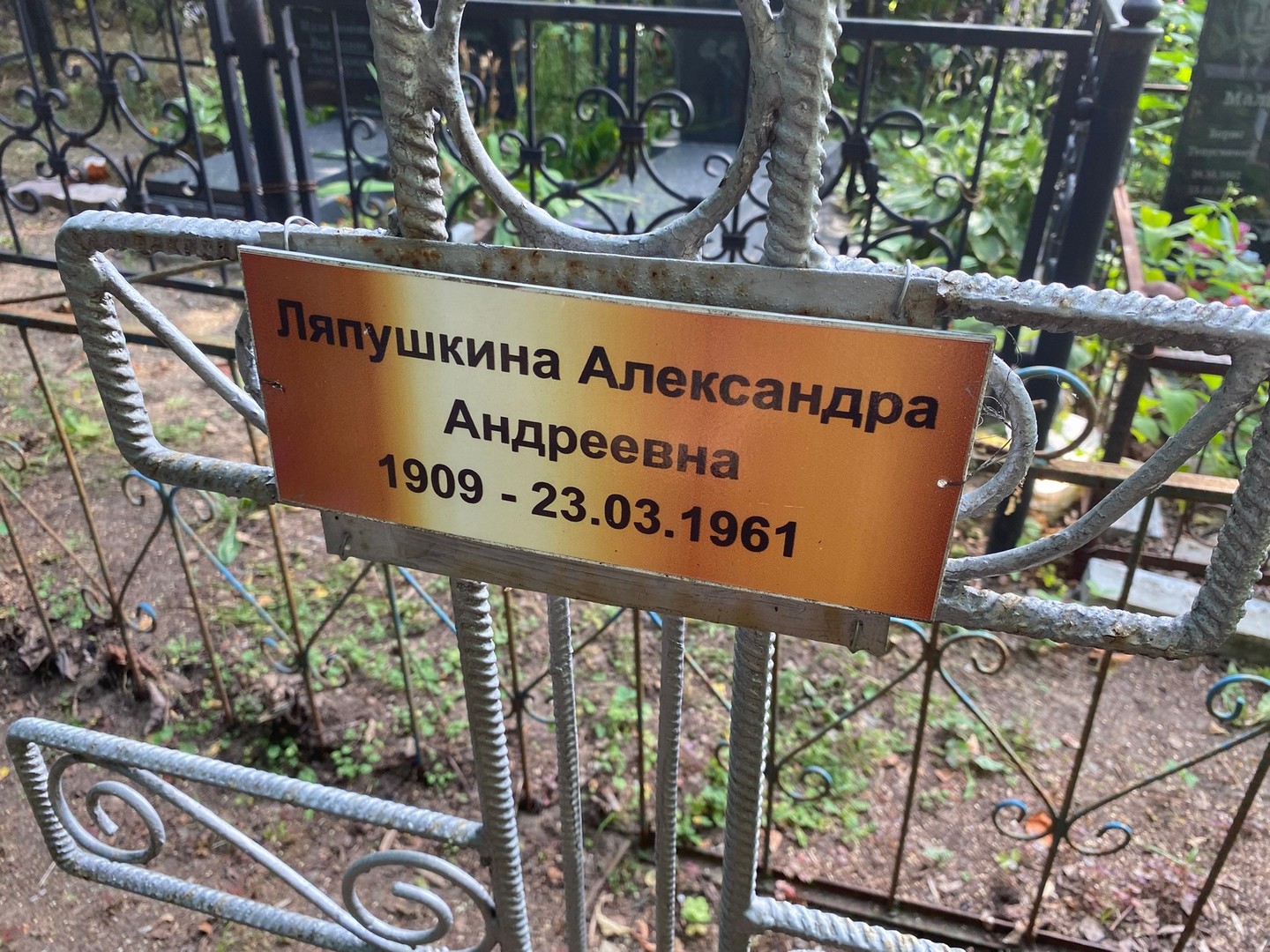 Ляпушкина Александра Андреевна