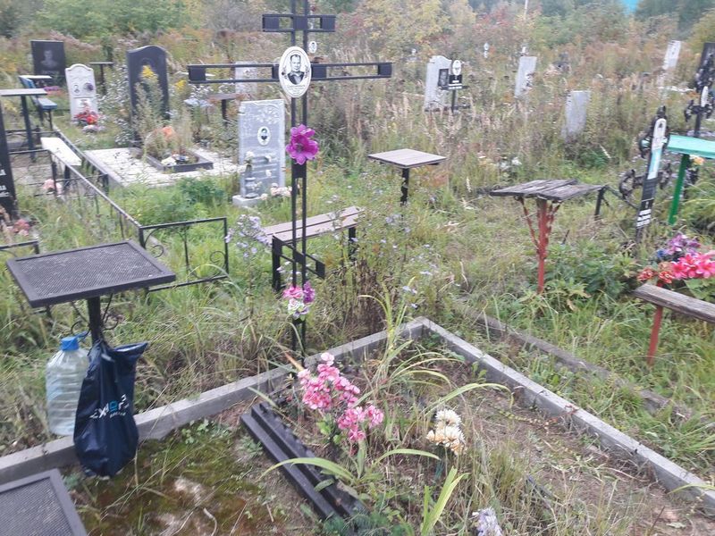 Цыпленков Георгий Николаевич