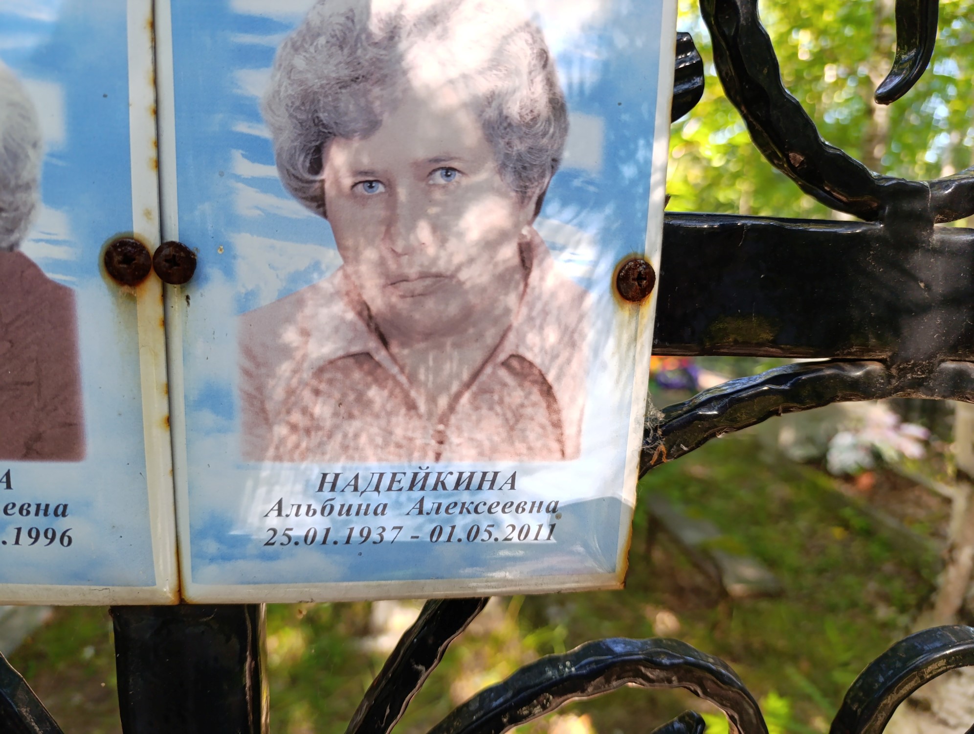 Надейкина Альбина Алексеевна