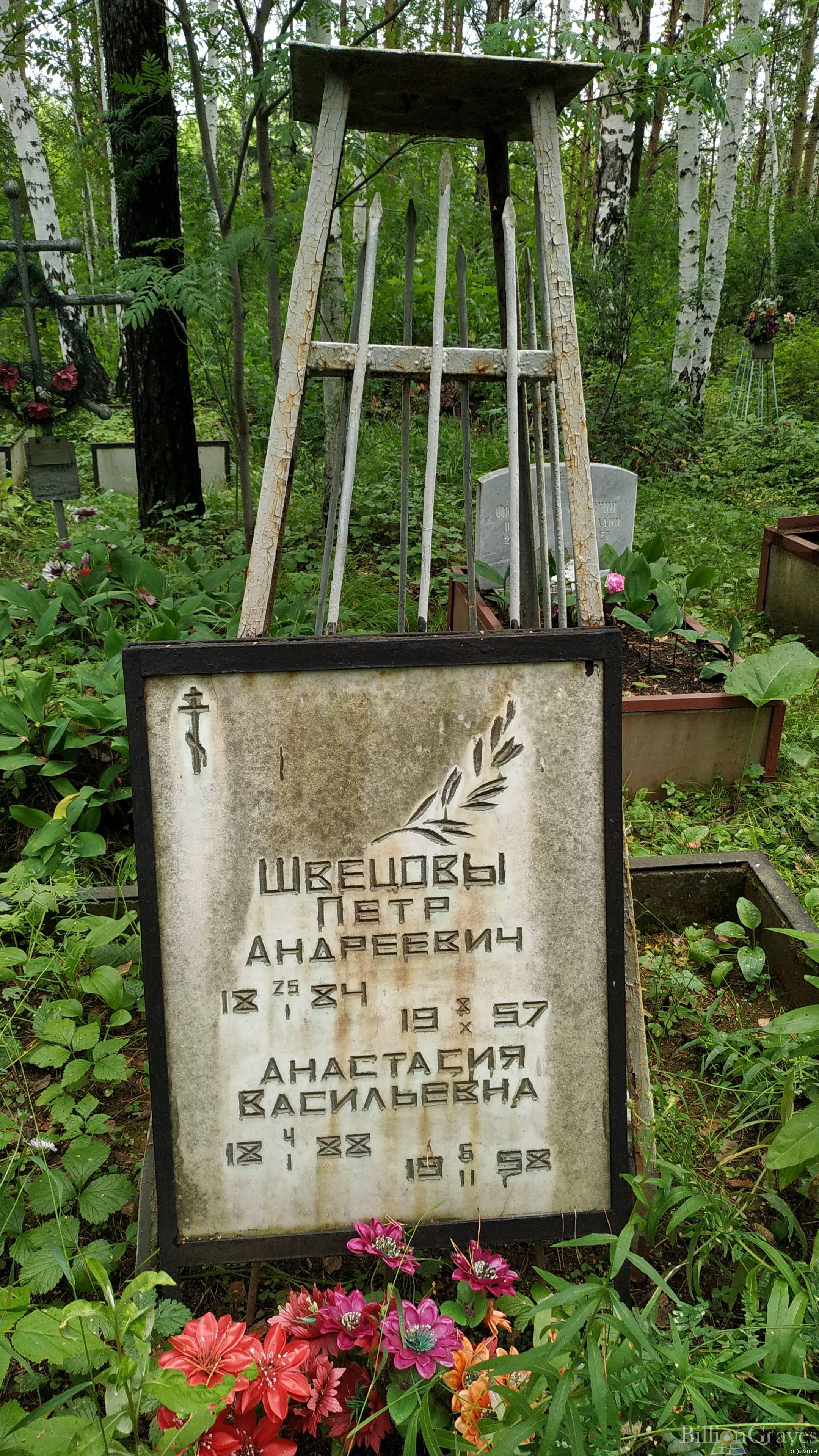 Швецова Анастасия Васильевна