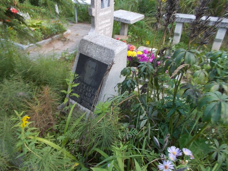 Вискарев Александр Михайлович
