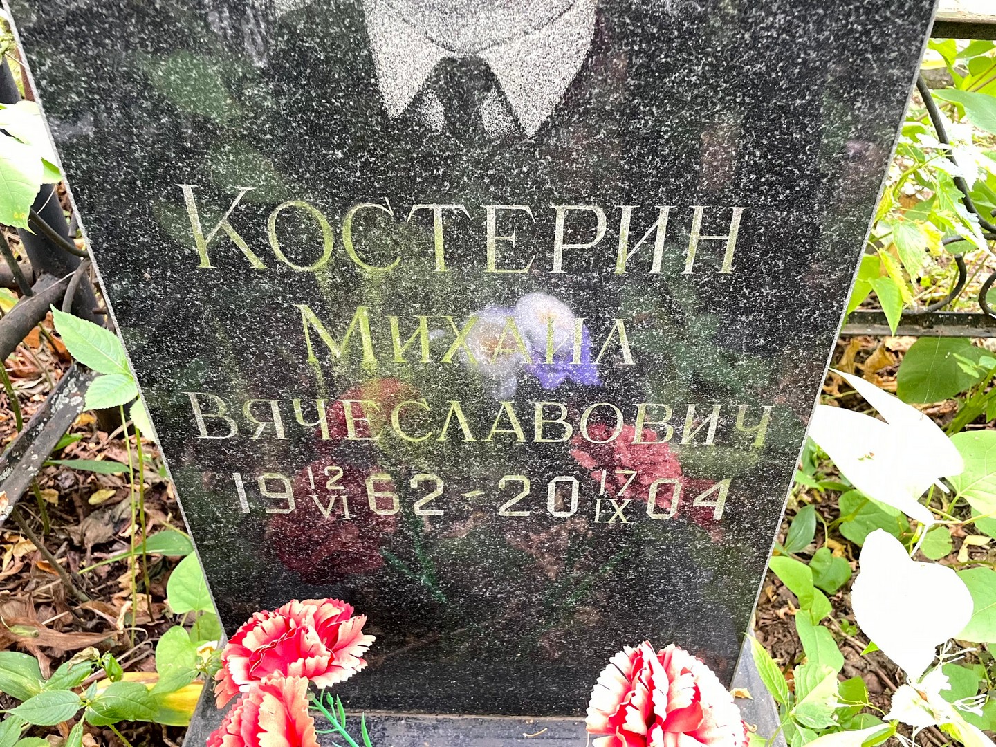 Костерин