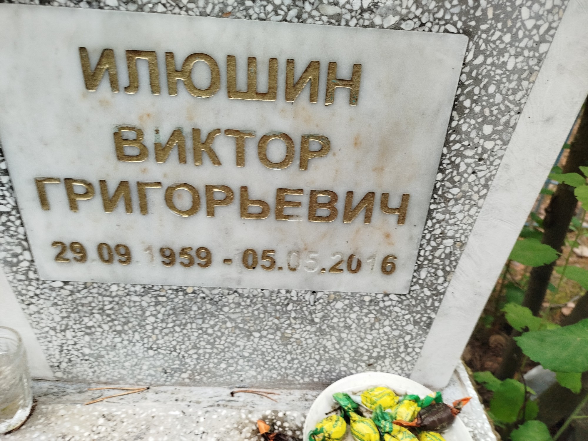 Илюшин Виктор Григорьевич
