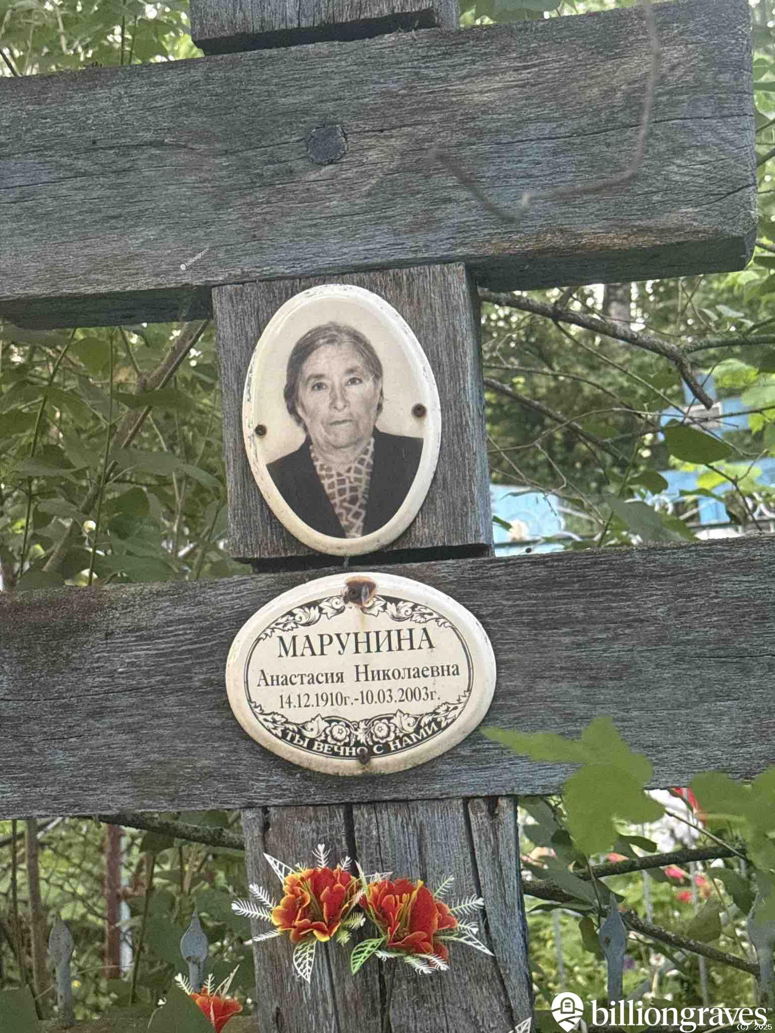 Марунина Анастасия Николаевна