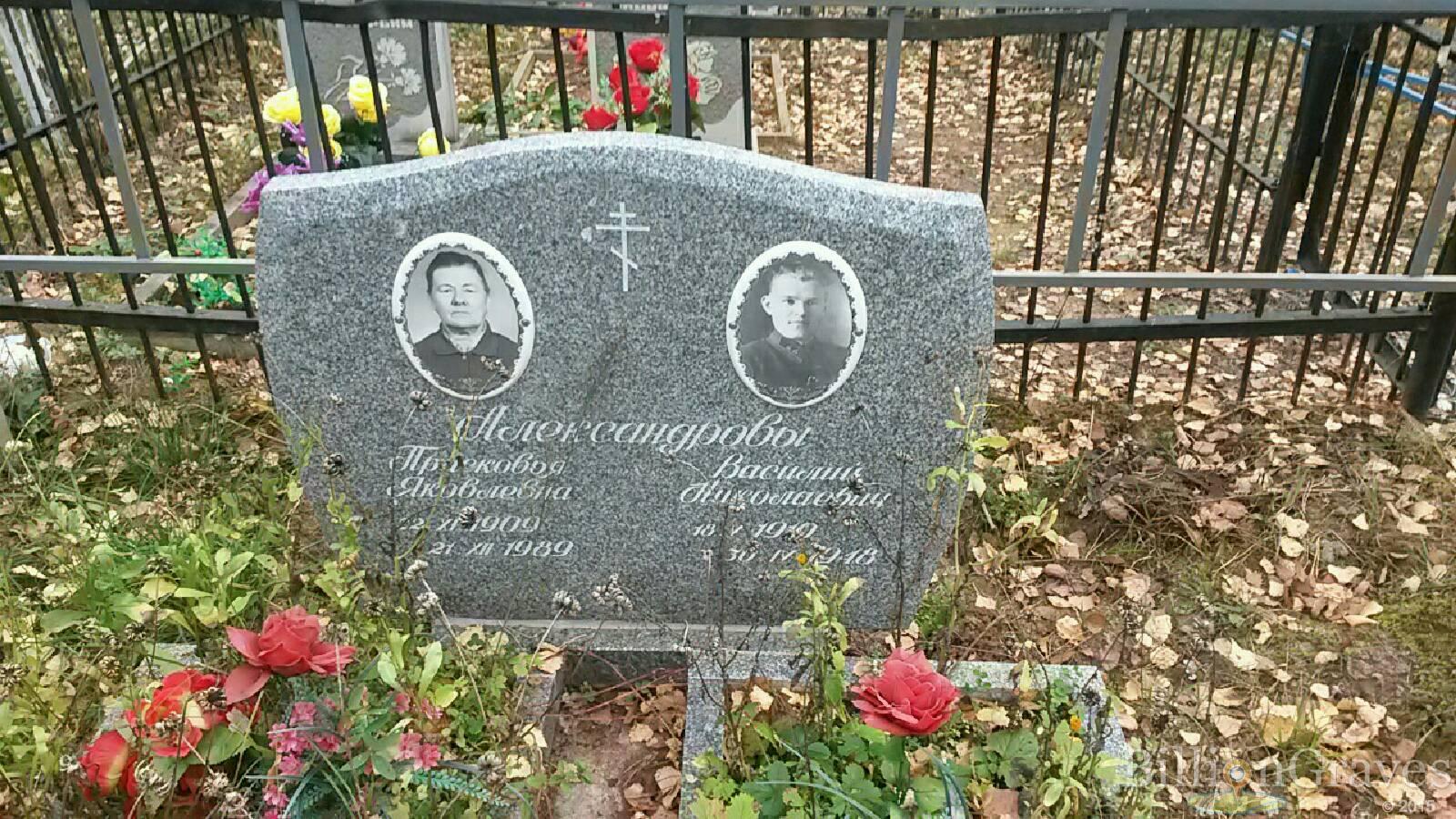 Александров Василий Николаевич
