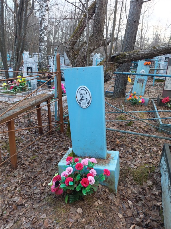 Петрова Анастасия Васильевна