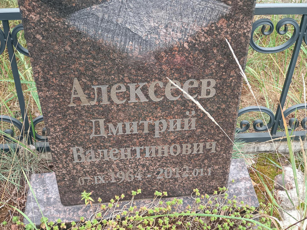 Алексеев Дмитрий Валентинович
