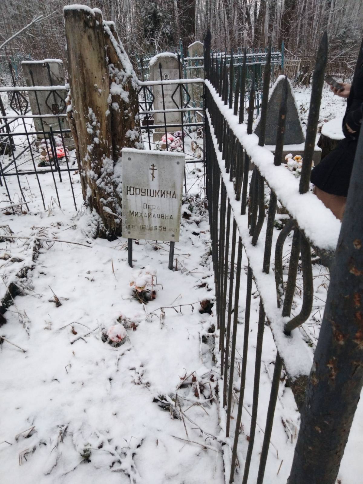 Юрушкина Вера Михайловна