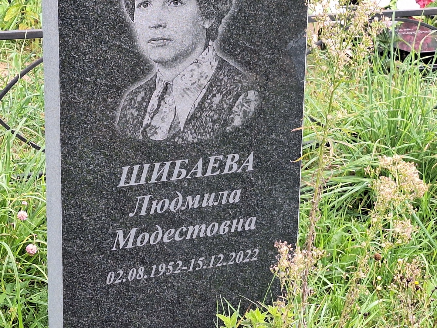 Шибаева