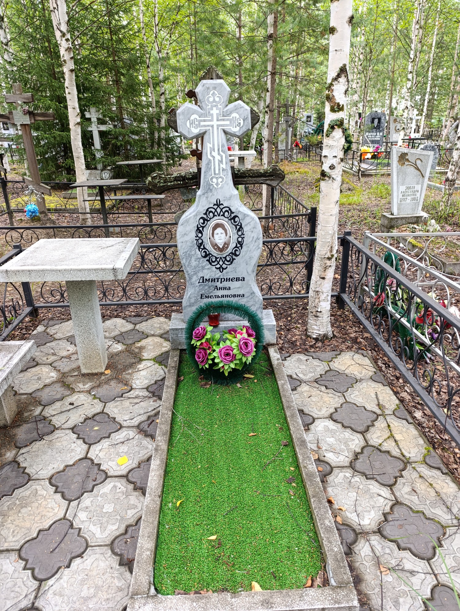Дмитриева Анна Емельяновна