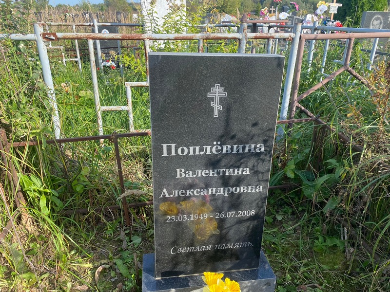 Поплевина