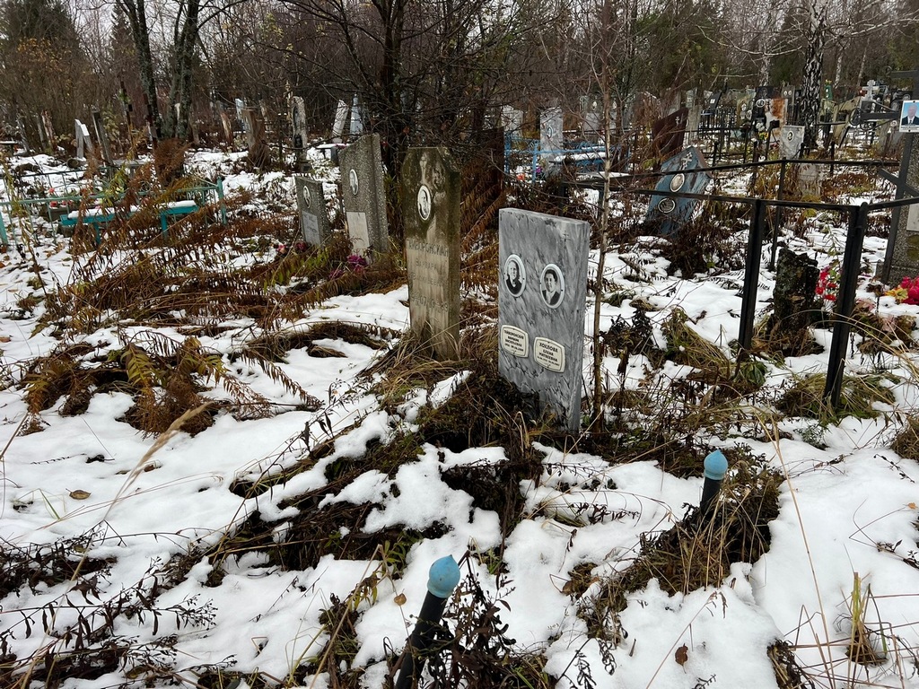 Гайворонская Варвара Васильевна