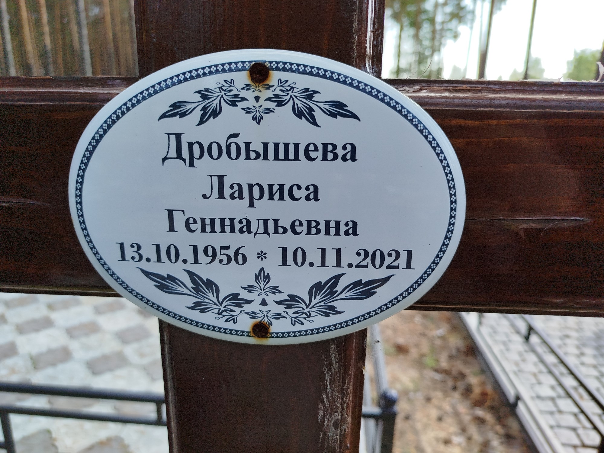 Дробышева Лариса Геннадьевна