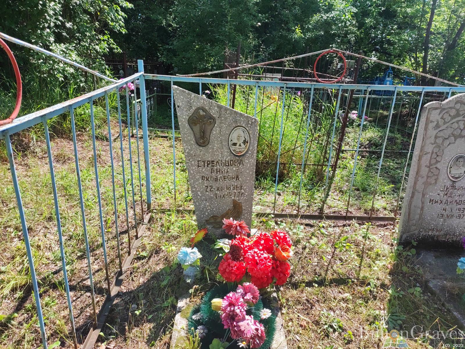 Ширнина Мария Михайловна