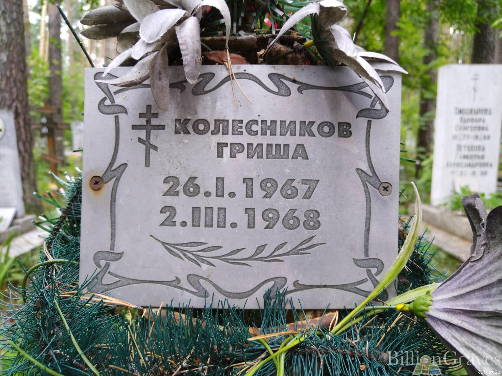 Колесников Гриша