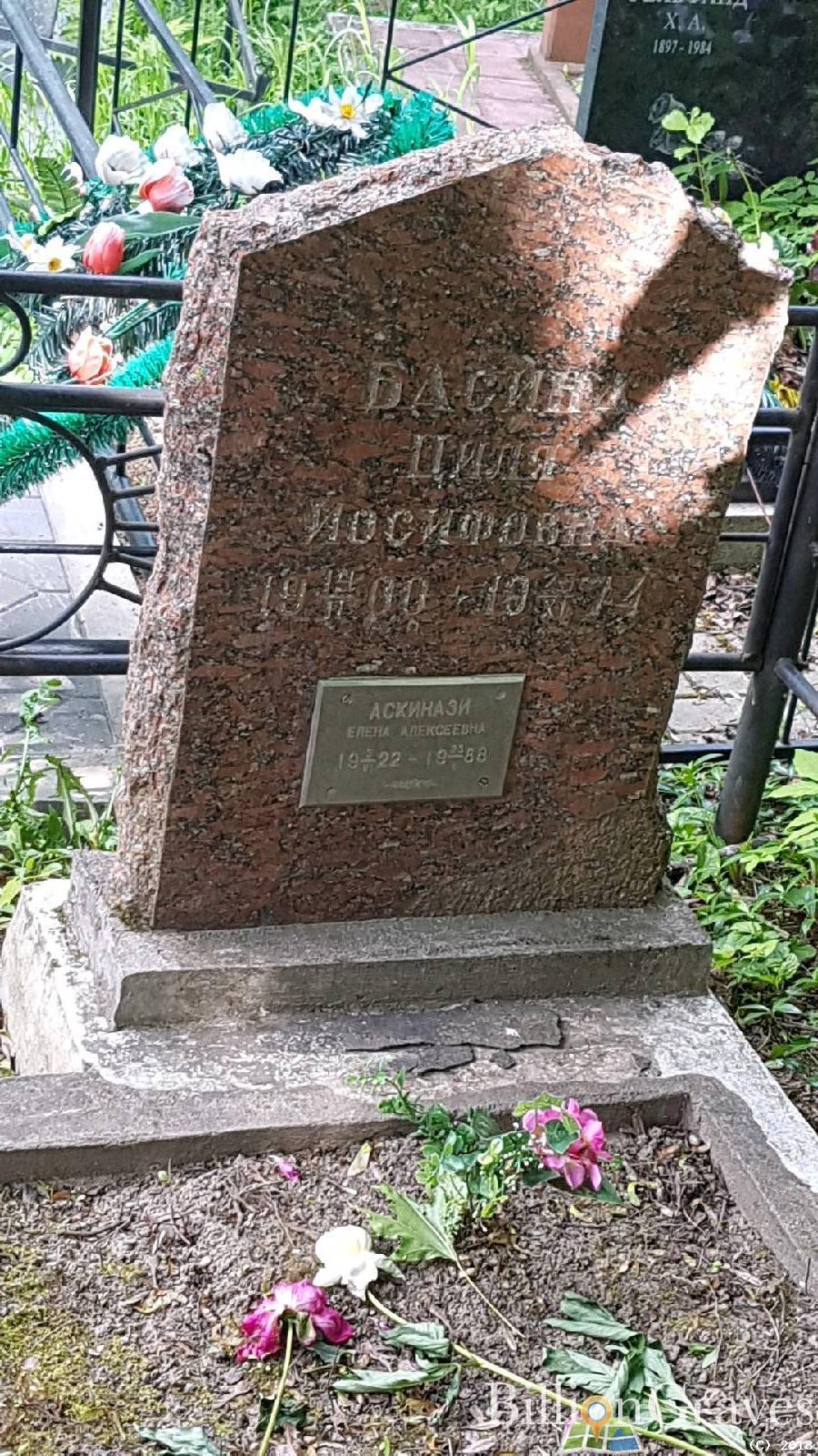 Аскинази Елена Алексеевна