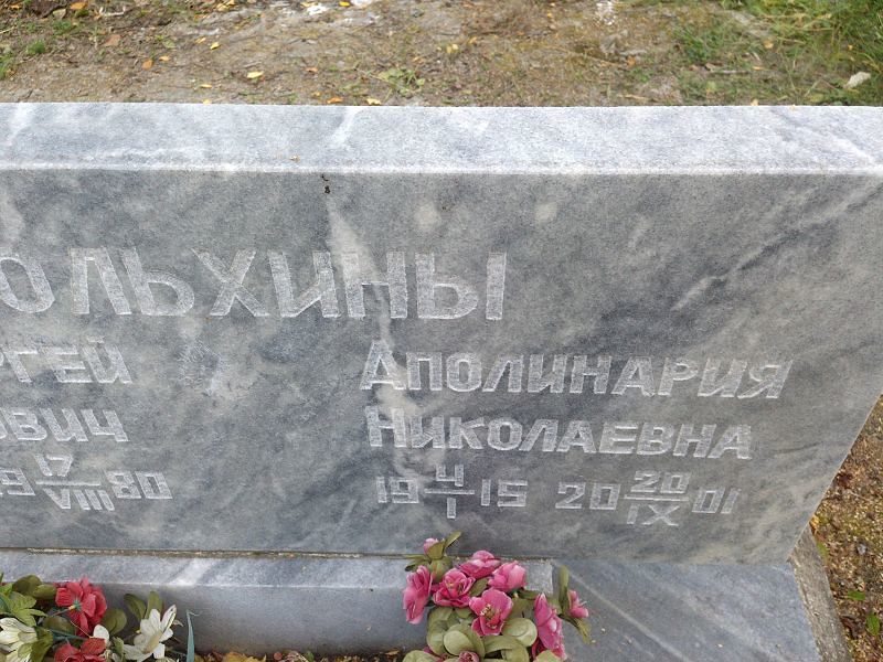 Аполинария Вольхина Николаевна