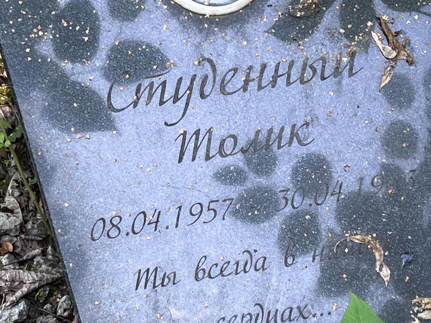 Студенный Студенный