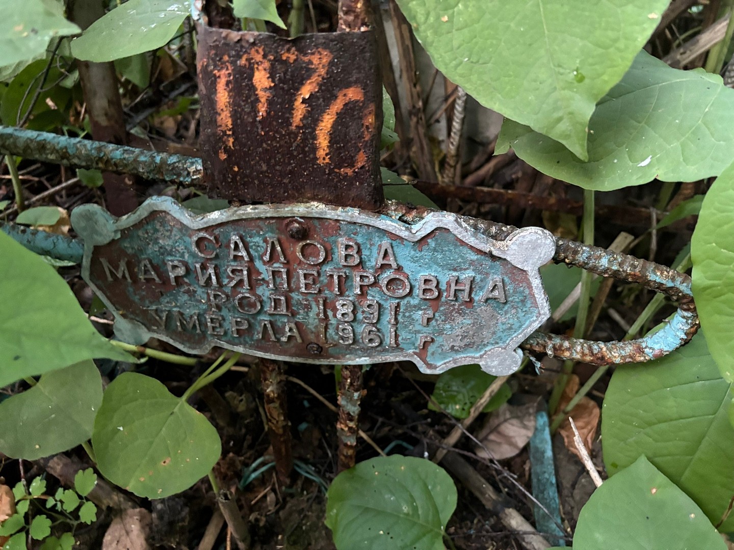 Салова