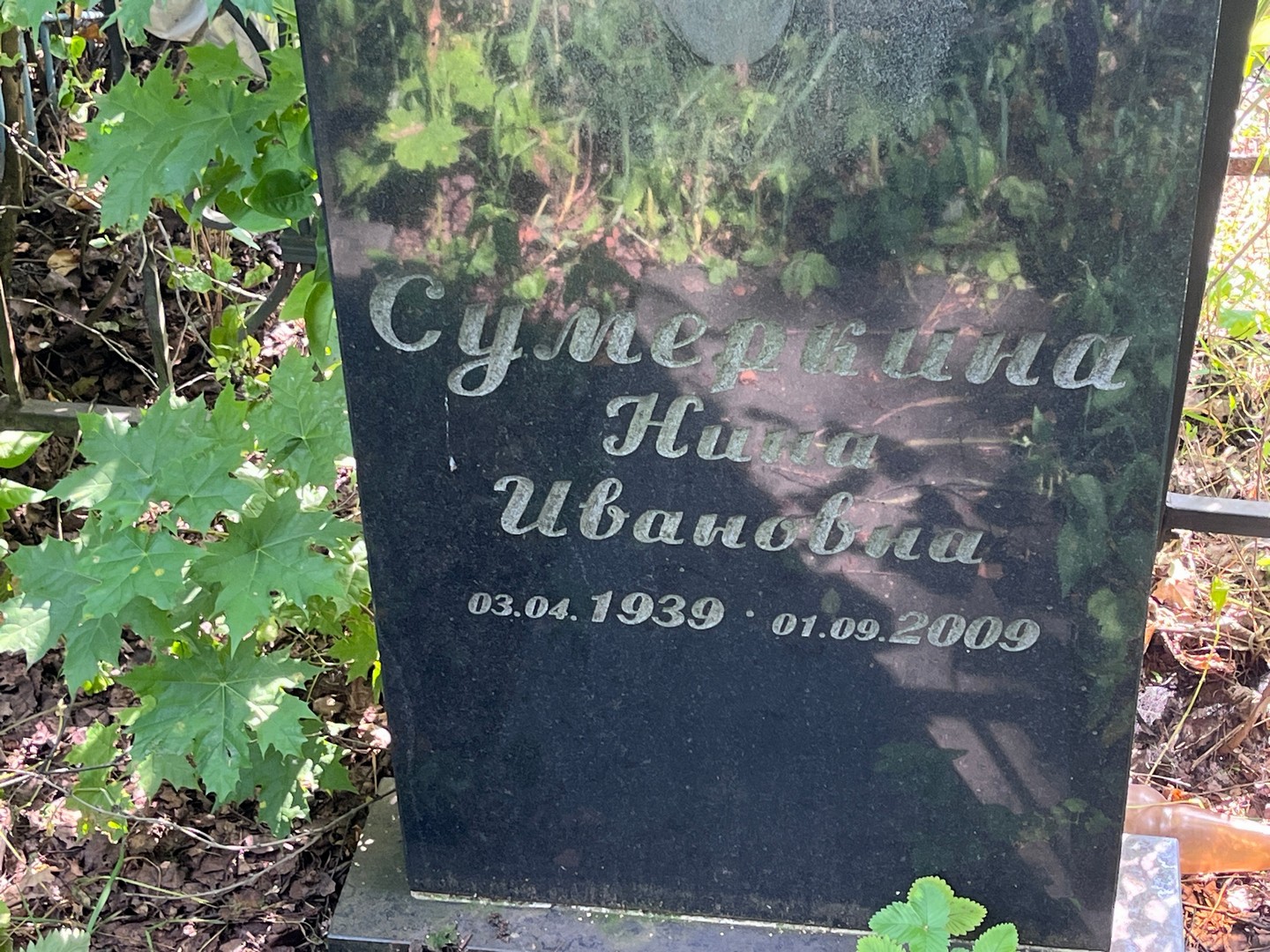 Сумеркина