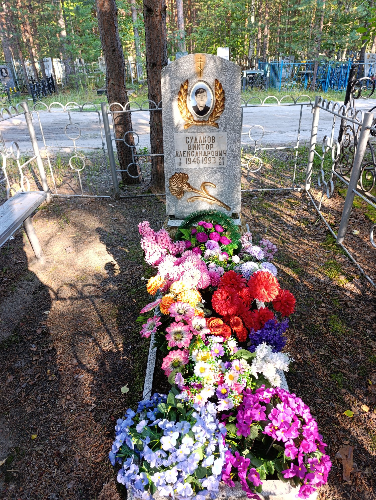Судаков Виктор Александрович